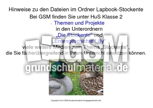 1-Hinweise-Lapbook-Stockente.pdf